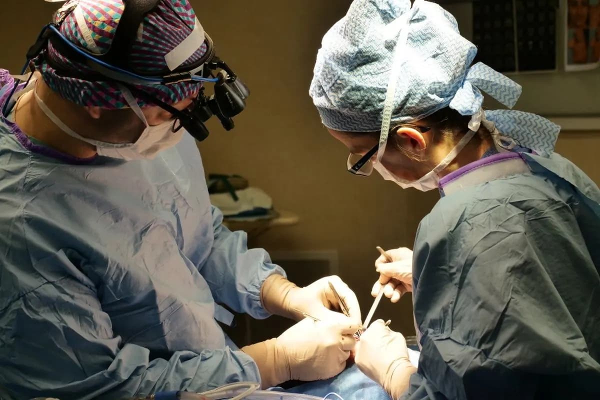 Gastrik ByPass Ameliyat Süreci ve Adımları